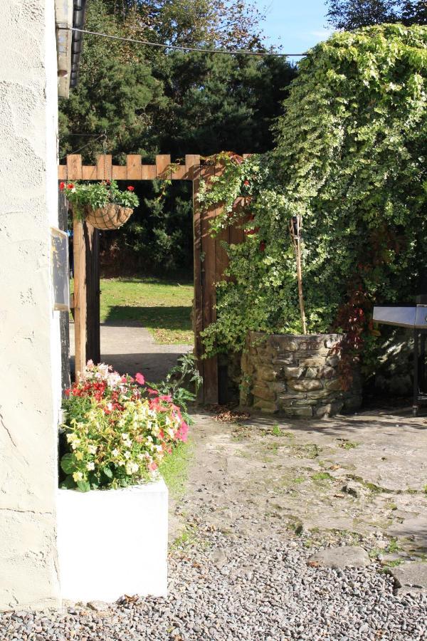 Auberge de jeunesse The House *